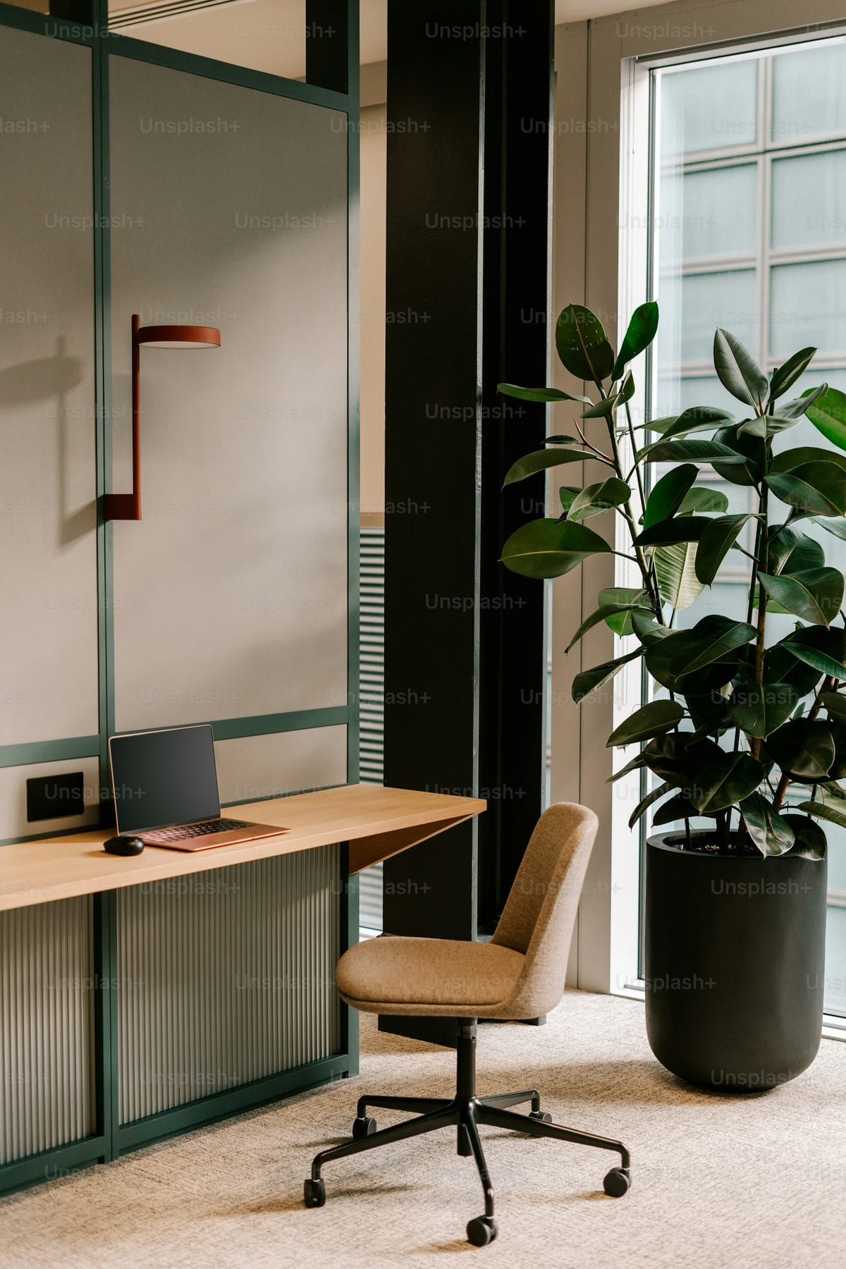 A considered interior with a chair beside a potted plant